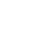 icon 17